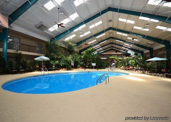 Rodeway Inn Cow Palace Lamar Faciliteter billede